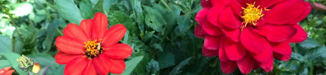 nana_cook's header image