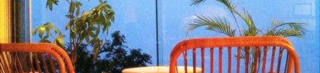 CKちゃん's header image