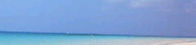 HAL99's header image