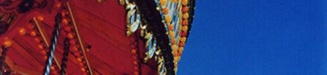 ミヨゴ's header image