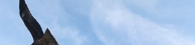 まゆみきちん's header image