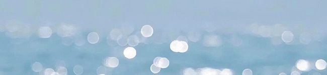 めるたる's header image