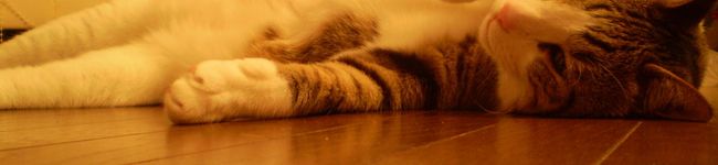まっさんた's header image