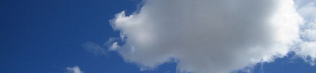めりり's header image