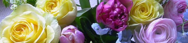 chomo-chomo's header image