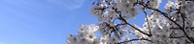 nomu1106's header image