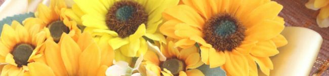＊YuAMam＊'s header image