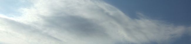 かんぱり's header image
