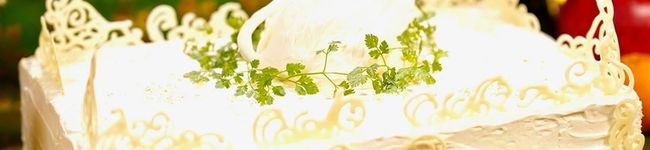 kaliprasad's header image