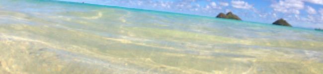 ☆Misamama☆'s header image