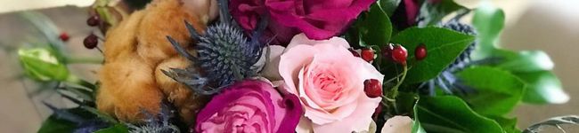 minto_1225's header image