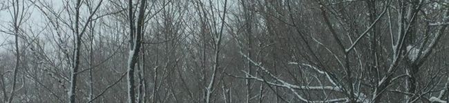 ROCCO♪'s header image