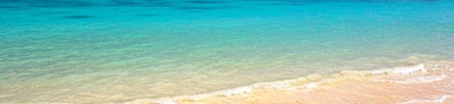 Plumeria❇︎'s header image