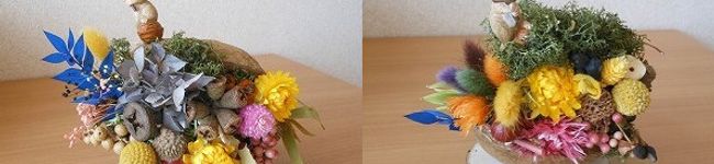 ぱど☆ちょ's header image