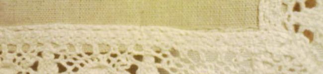 oiseaux's header image