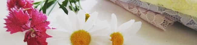 MaoNonoo's header image
