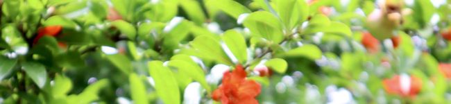 ricoふう♡'s header image