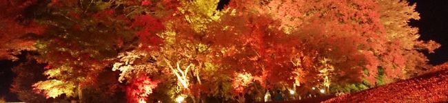なべの鍋's header image