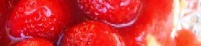 使い捨て絆創膏's header image