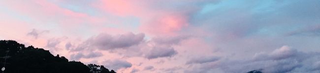 さくさくすけ's header image