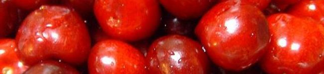  m.'s header image