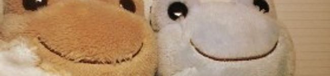 パンダtoreno 's header image