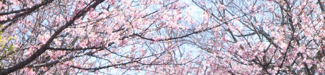 eminosuke's header image