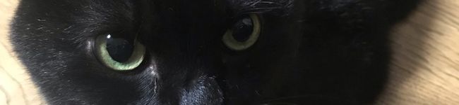 くろねこきっちん's header image