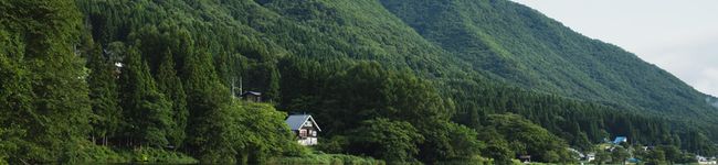 uenao0519's header image
