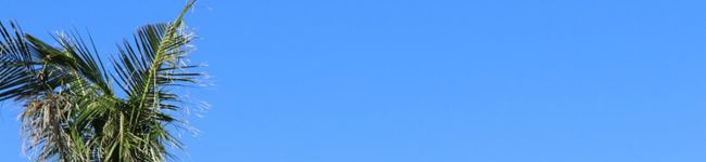 マリシュシュ's header image