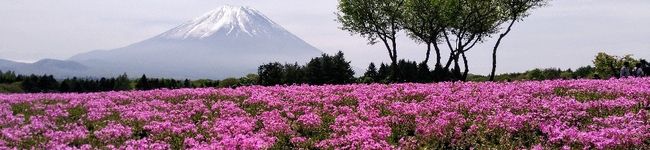 そばばん's header image
