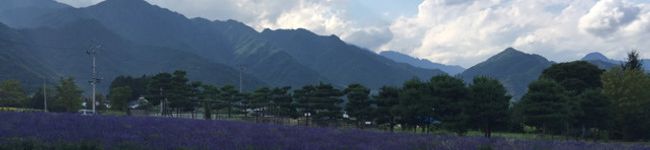 こつぶのおかあちゃま's header image