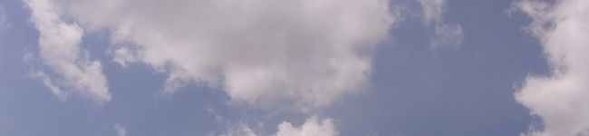 ずんこんぐ's header image