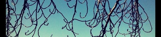 naoworks's header image