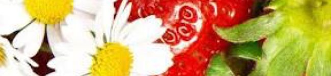 すあま0813's header image