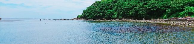 hahaneco's header image