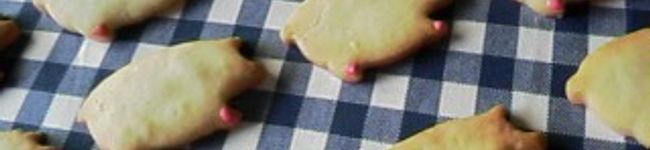 pon's header image