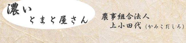 濃いとまと屋さん's header image