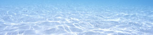 soju's header image