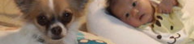 takeri's header image