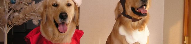 Ｍiuco's header image