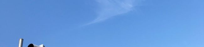 GreenCat25's header image