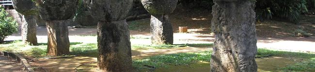 sa-ramama's header image