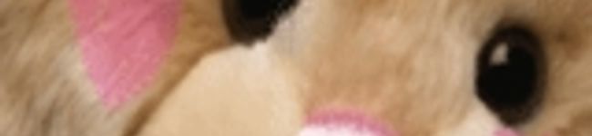 ・・＊あやか＊・・'s header image