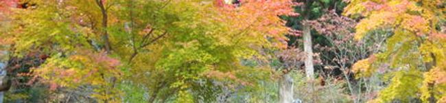 YOU太's header image