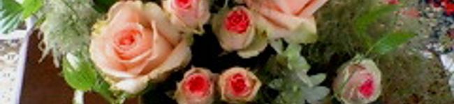 AJRYK's header image