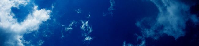 うりっ子's header image