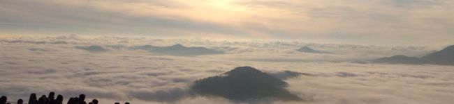myty.com's header image