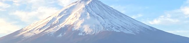 momo／tomo's header image