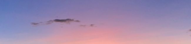 料理は感覚's header image